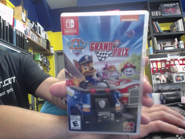 Paw patrol grand prix