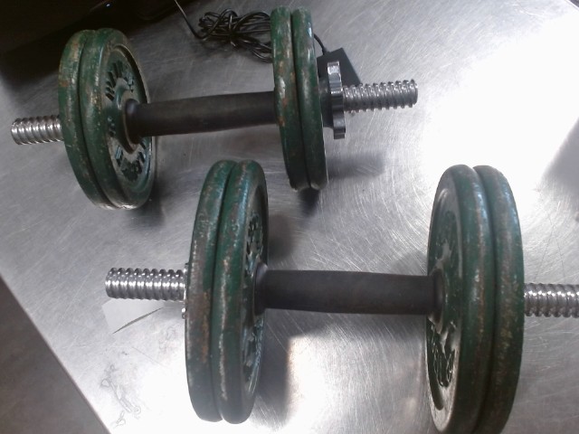 Poids haltere veert 5-10 lbs