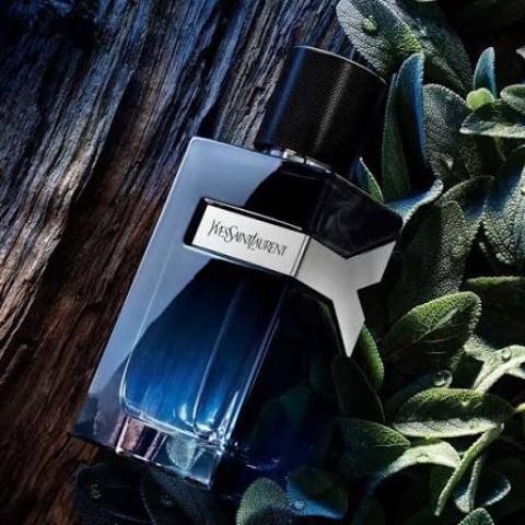 Parfum yves st laurent y 200ml
