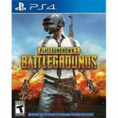 Playerunknown's battlegrounds