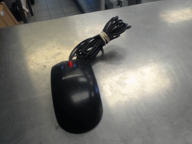 Souris