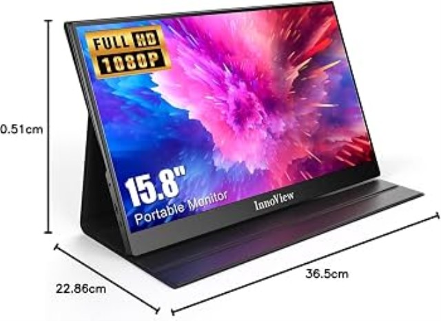 Portable monitor