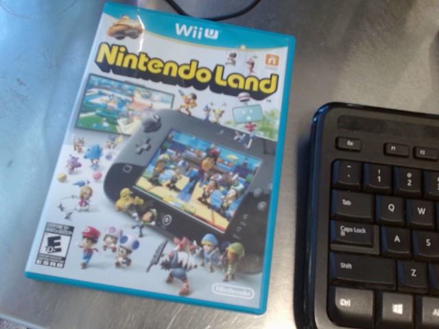 Nitendo land