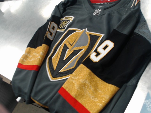 Vegas golden knights marc andre fleury
