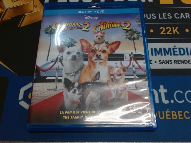 Beverly hils chihuahua 2