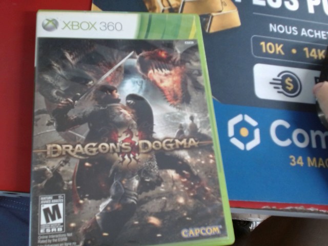 Dragon dogma
