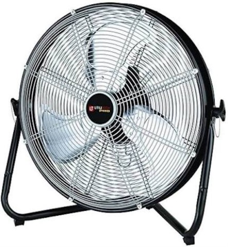 Fan