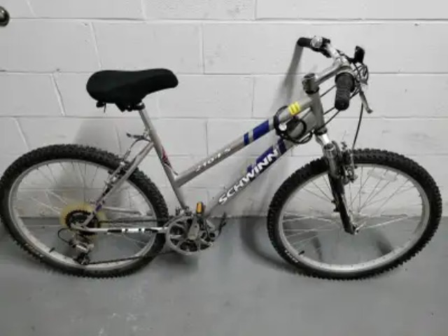 Velo argenter schwinn 210 fs