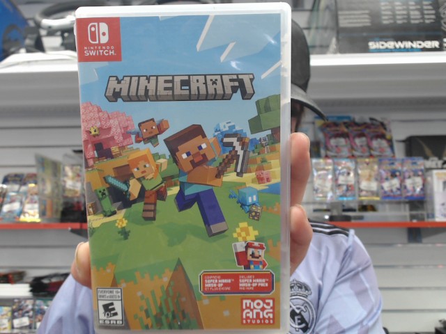 Minecraft