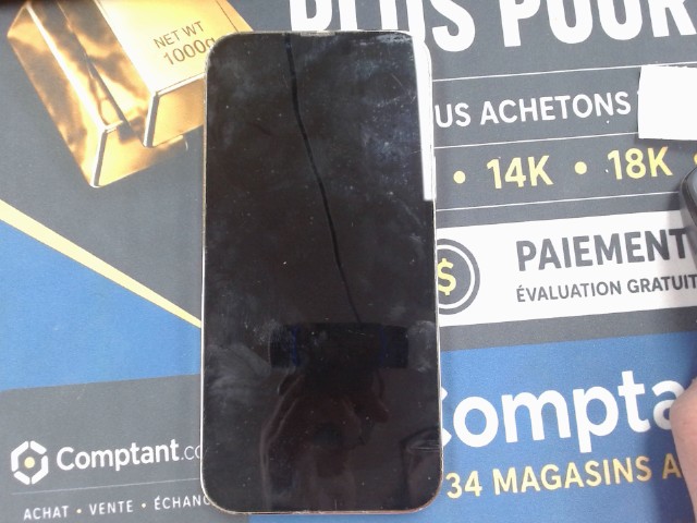 Iphone 13 pro max back brisse