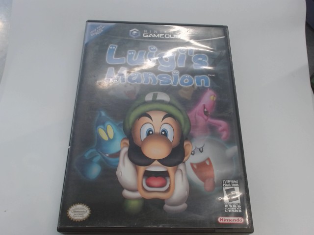 Luigi's mansion