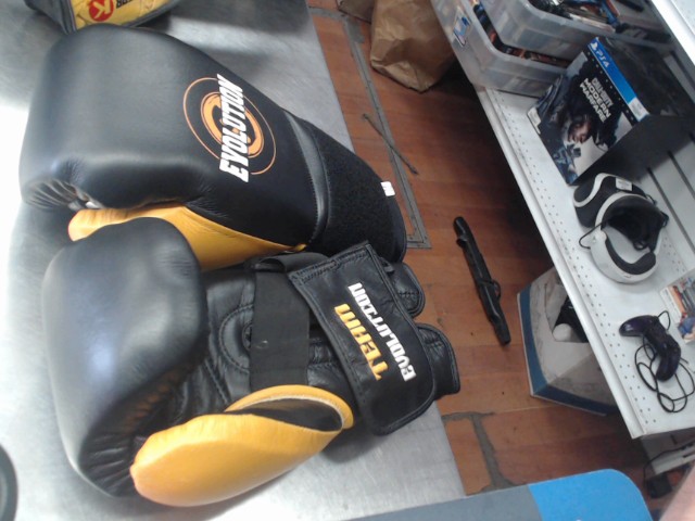 Paire de gants de boxe