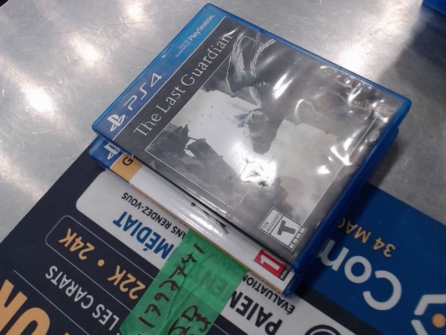 The last guardian