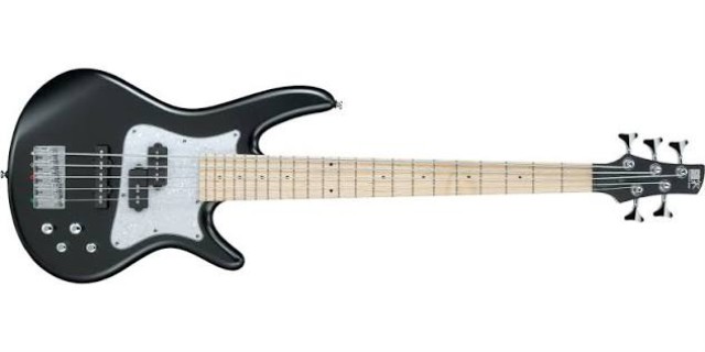 Guitare bass ibanez sdgr case mou