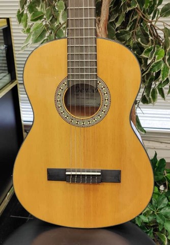Denver acoustic guitar soft black case