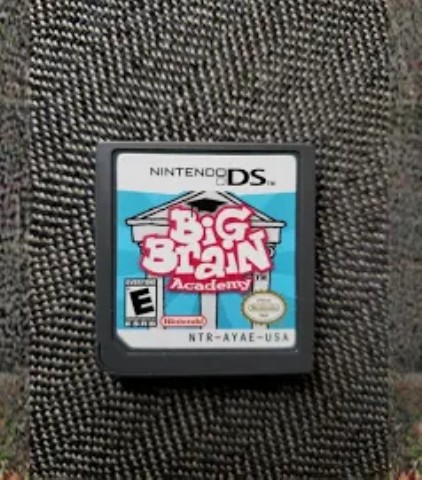 Big brain academy