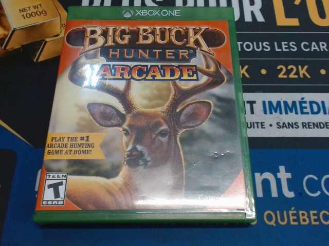 Big buck hunter arcade