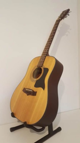 Guitare acoustique with case