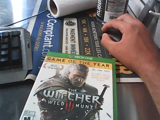 The witcher wild hunt