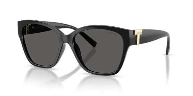 Tiffany&co. lunette