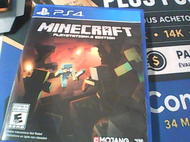 Minecraft