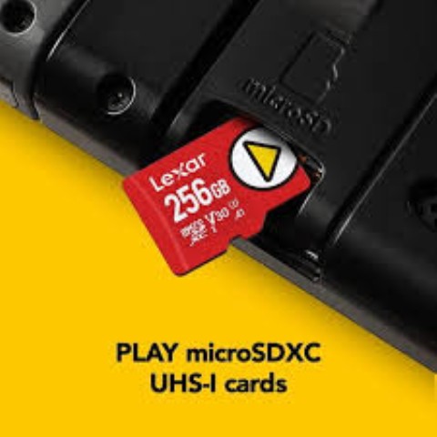 Lexar 256gb