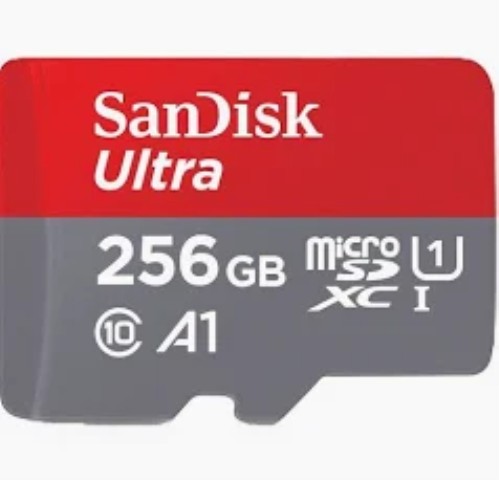 Sandisk ultra go 256gb