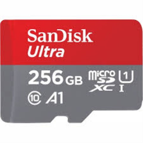 Sandisk ultra go 256gb