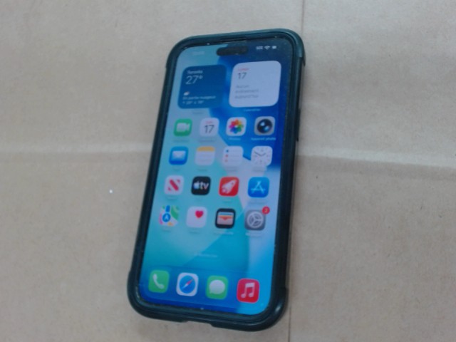 Iphone 15 pro max 256go