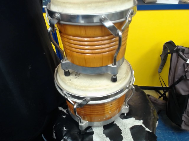 Bongo en brune