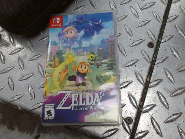 Zelda echoes of wisdom
