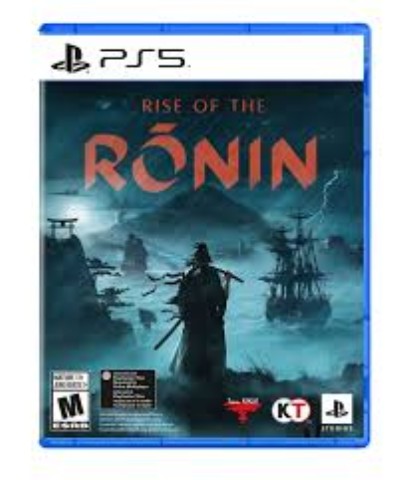 Rise of the ronin