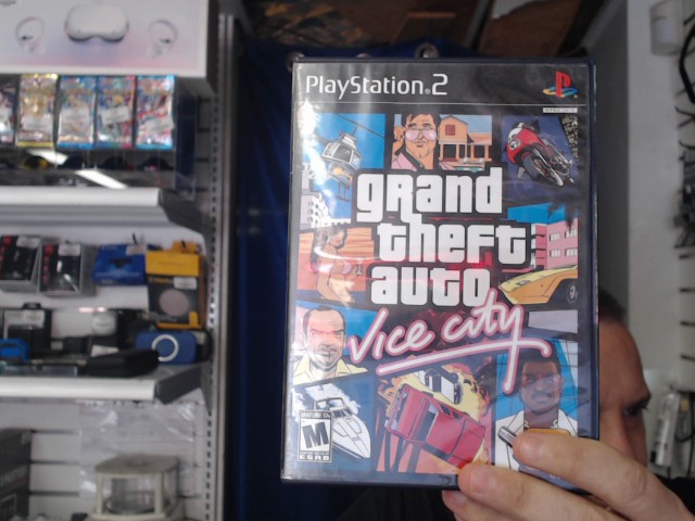 Grand theft auto vice city