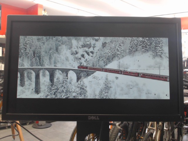 Moniteur dell