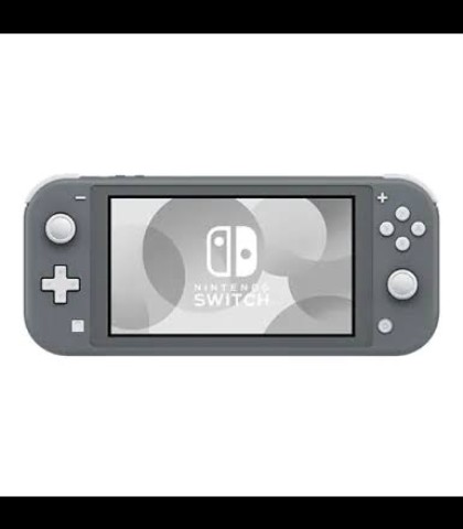 Switch lite grise sans rien