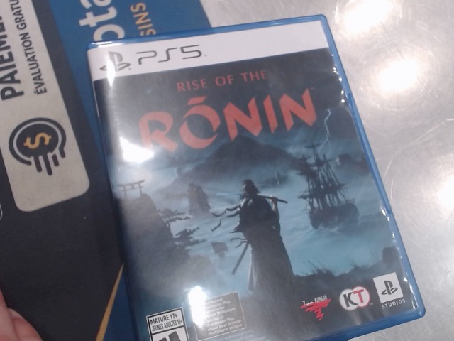 Rise of the ronin