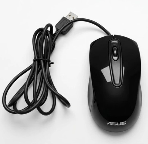 Souris noir
