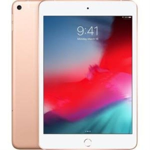 Ipad mini 5