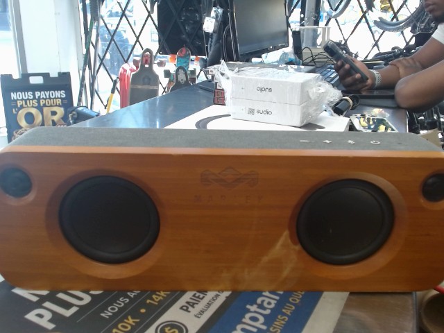 Speaker audio marley