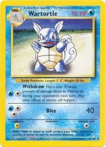 Wartortle 42