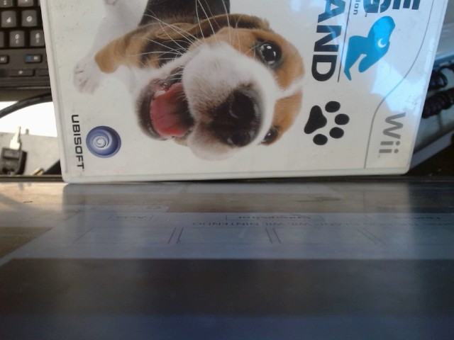 The dog island wii
