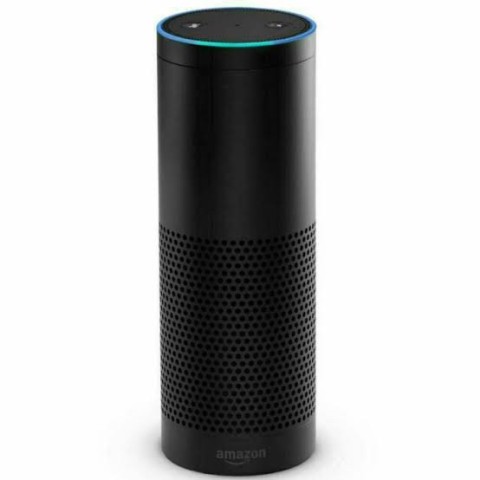 Echo smart 1st gen