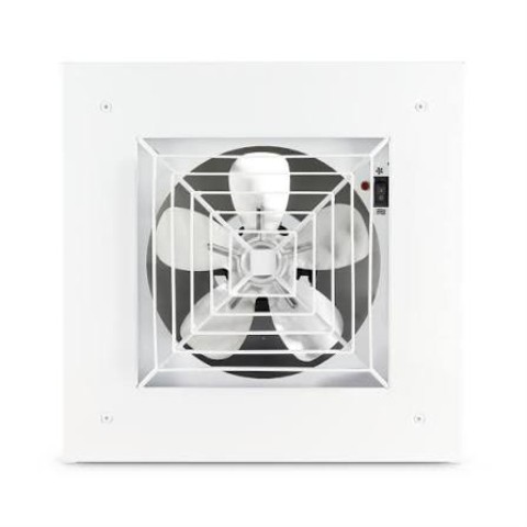 Dragon ceiling fan heater