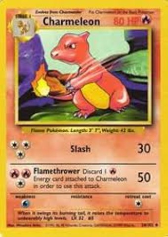 Charmeleon 24