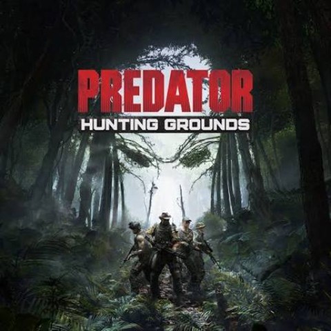 Predator hunting grounds