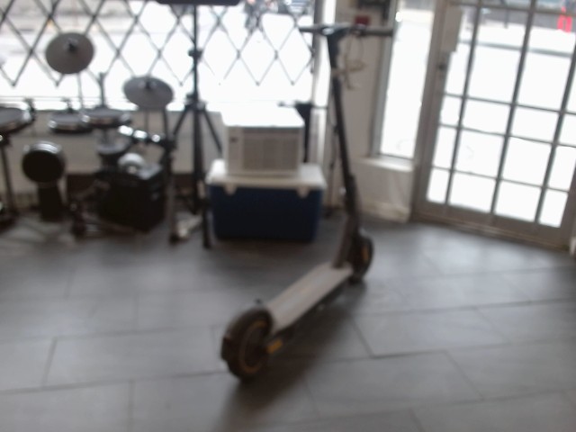 Ninebot kickscooter max g30p