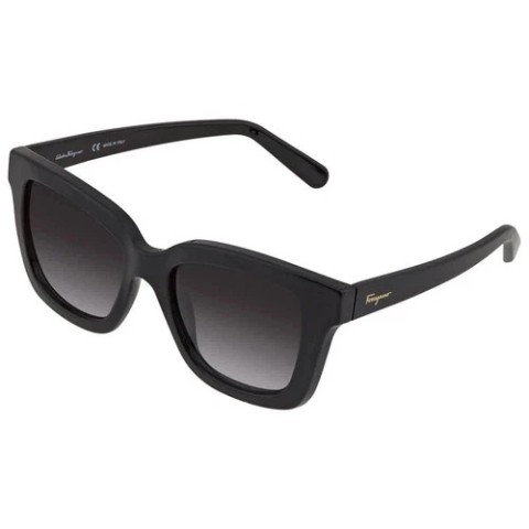 Lunette de solei salvatore ferragamo+cas