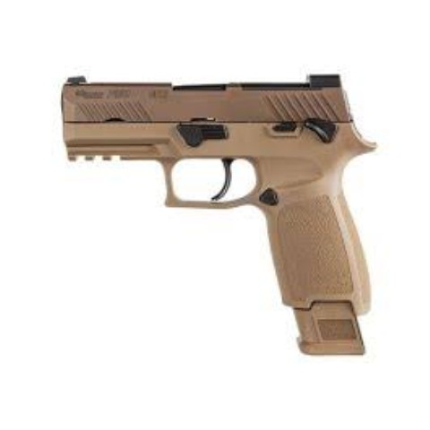 Sigsauer m18 pellet