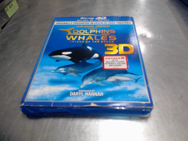 Dolphins and whales tribes of ocean 3d