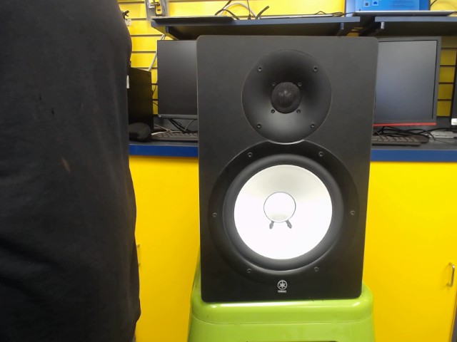 Monitor speaker wired
